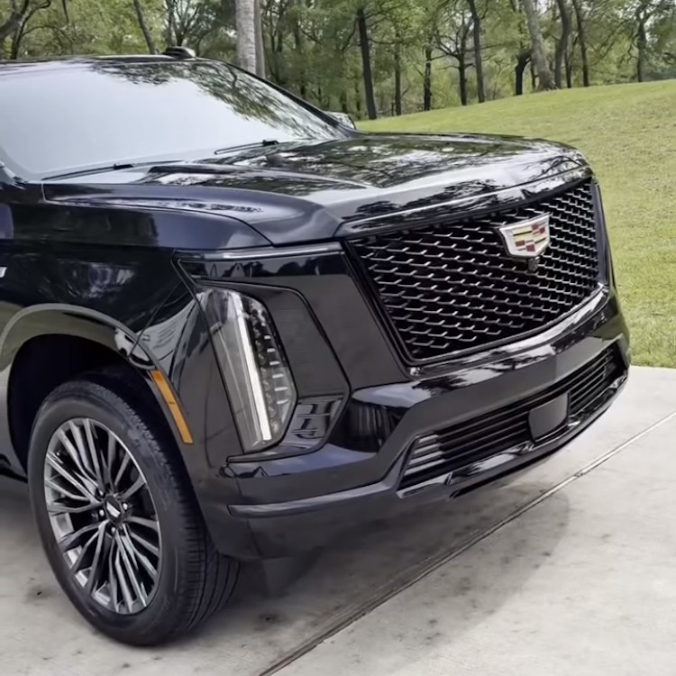 Auto Detailing in Houston, TX Auto Detailing in Houston, TX